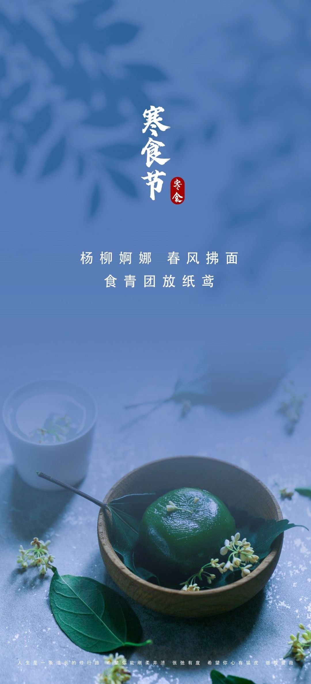 寒食节青团冷食踏青郊游追思传统文化节日宣传海报插画 (24)