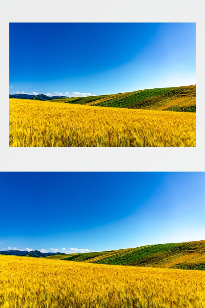 乡村田野风光高清图片 (66)