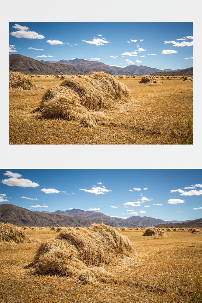 乡村田野风光高清图片 (43)