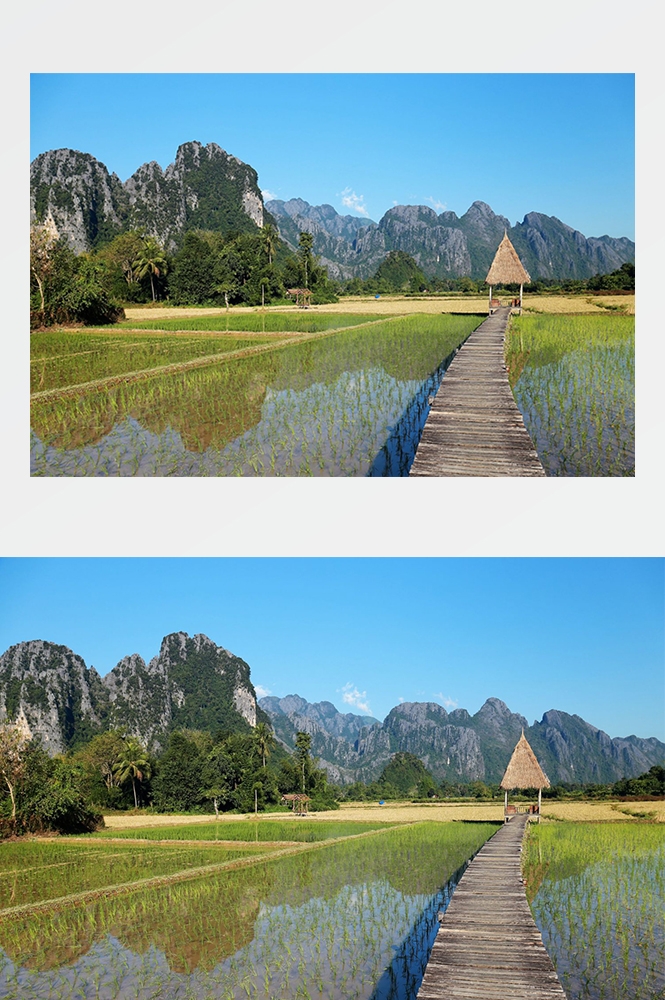 高清自然风景摄影图片稻田稻穗水稻田园风光设计素材