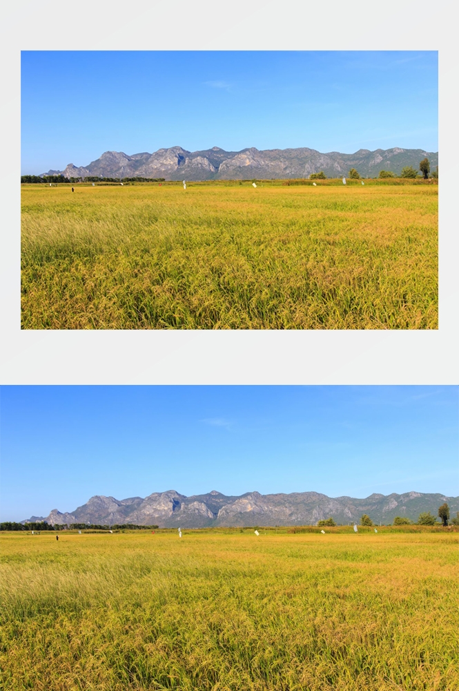 乡村田野风光高清图片 (48)