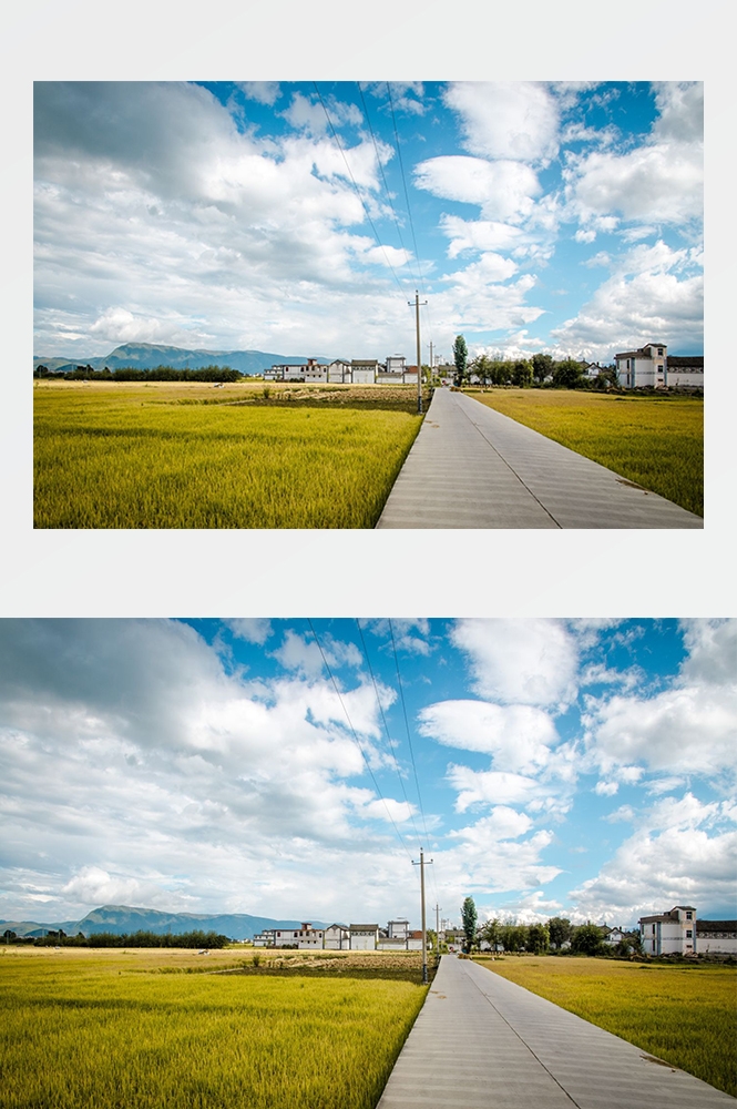 高清自然风景摄影图片稻田稻穗水稻田园风光设计素材