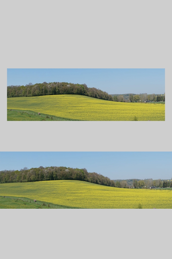 乡村田野风光高清图片 (280)