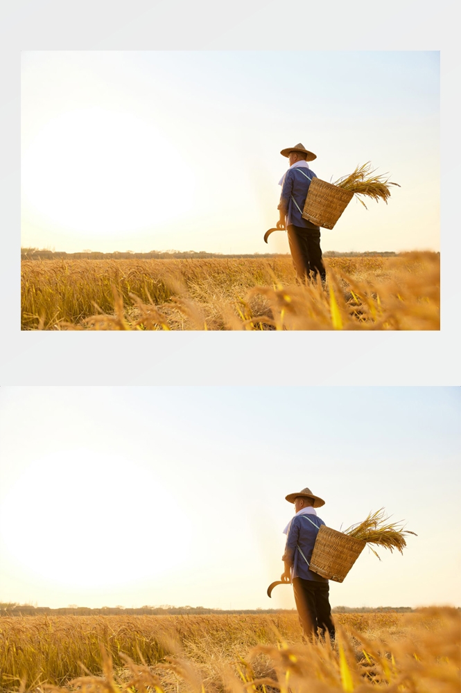 乡村田野风光高清图片 (45)