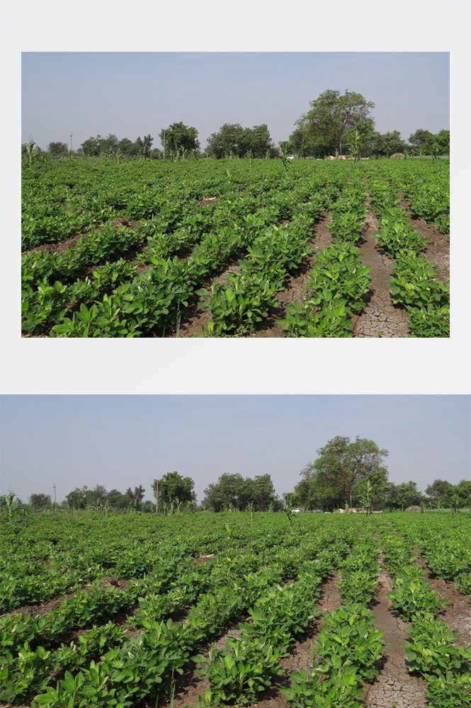 乡村田野风光高清图片 (265)