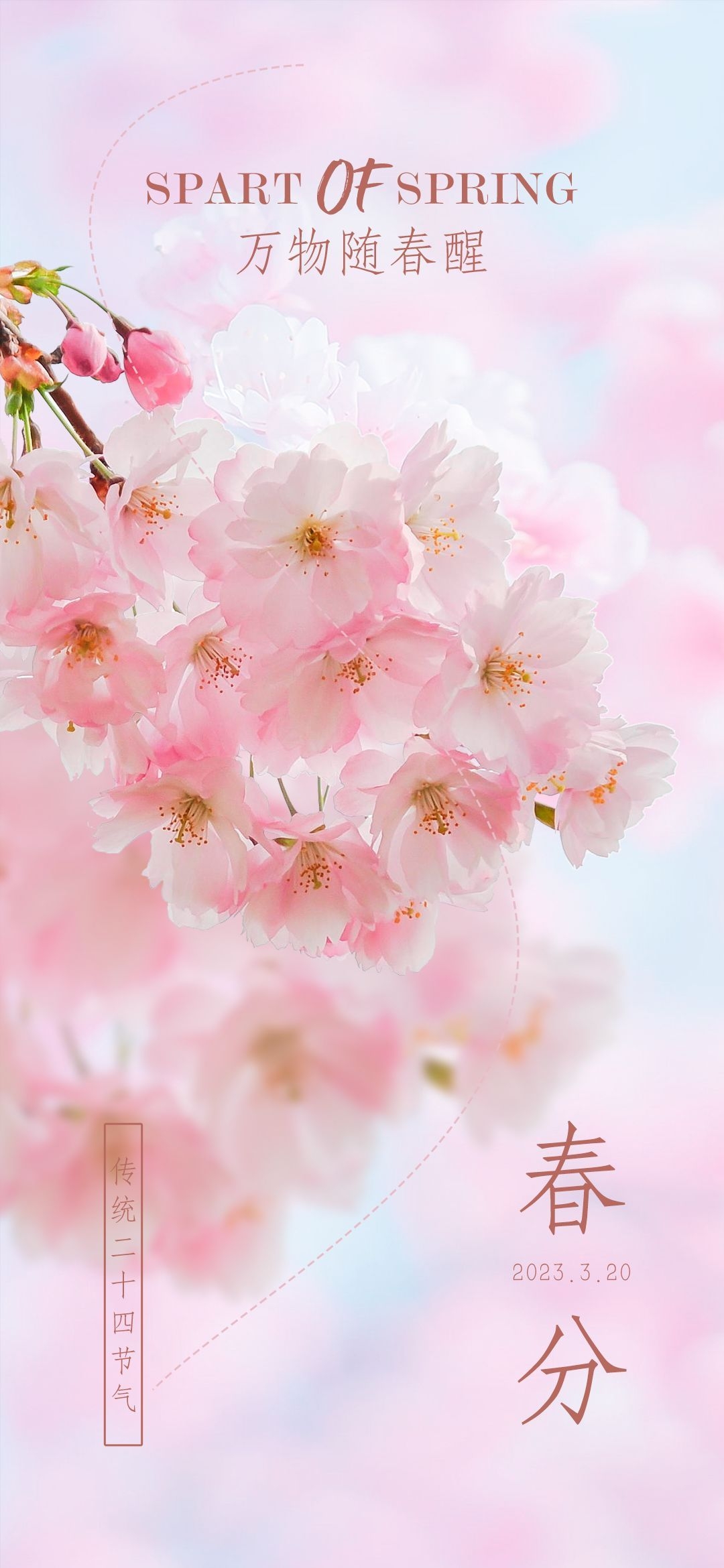 樱花节节日旅游浪漫出游露营春天活动宣传海报 (6)