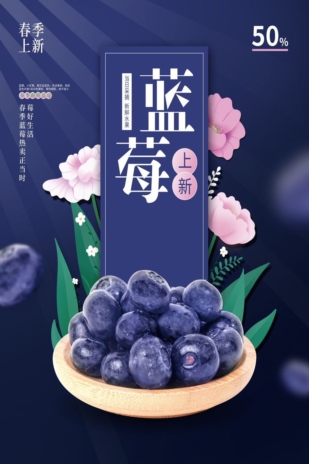蓝莓促销宣传海报展板 (23)