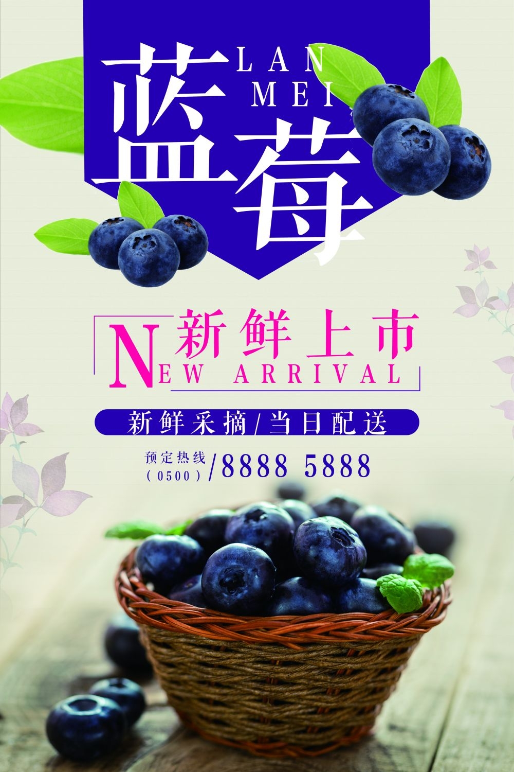 蓝莓促销宣传海报展板