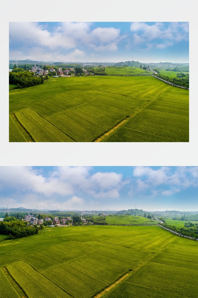 乡村田野风光高清图片