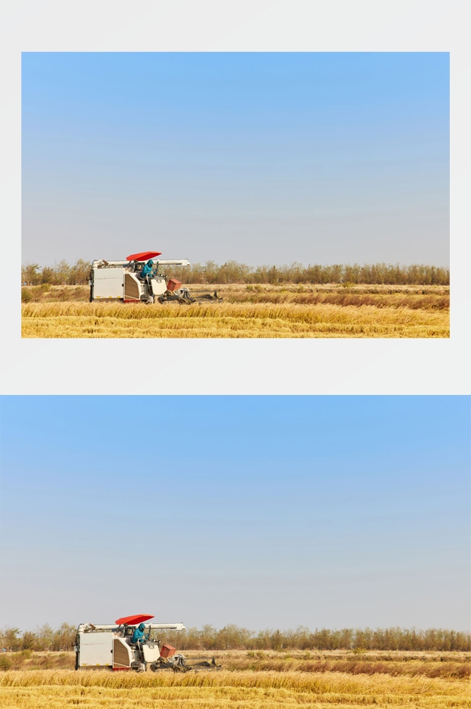 乡村田野风光高清图片 (32)