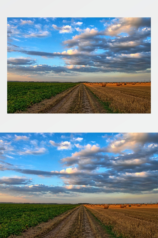 乡村田野风光高清图片 (297)