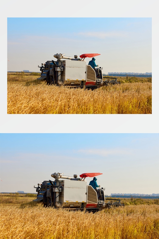 乡村田野风光高清图片 (17)