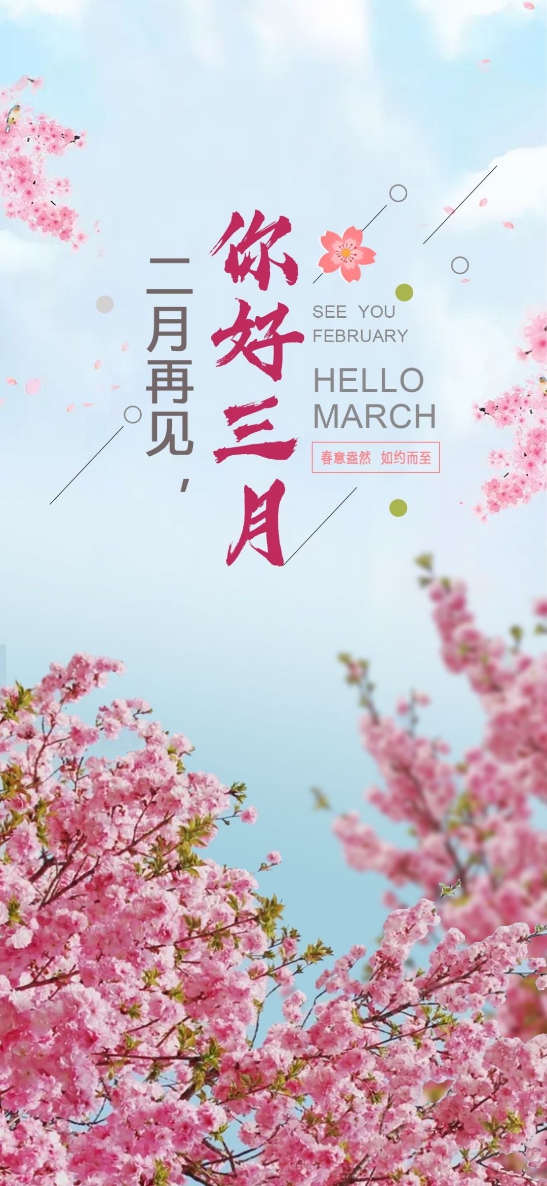 樱花节节日旅游浪漫出游露营春天活动宣传海报 (22)