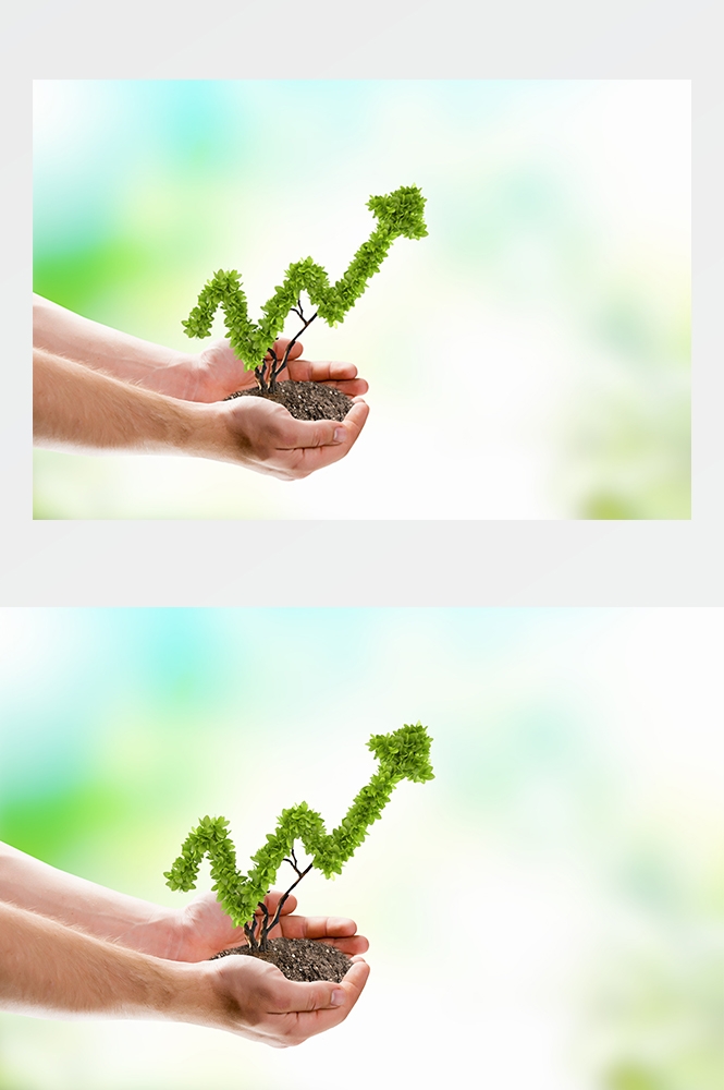 高清自然风景JPG图片幼苗嫩芽嫩叶树苗植物成长