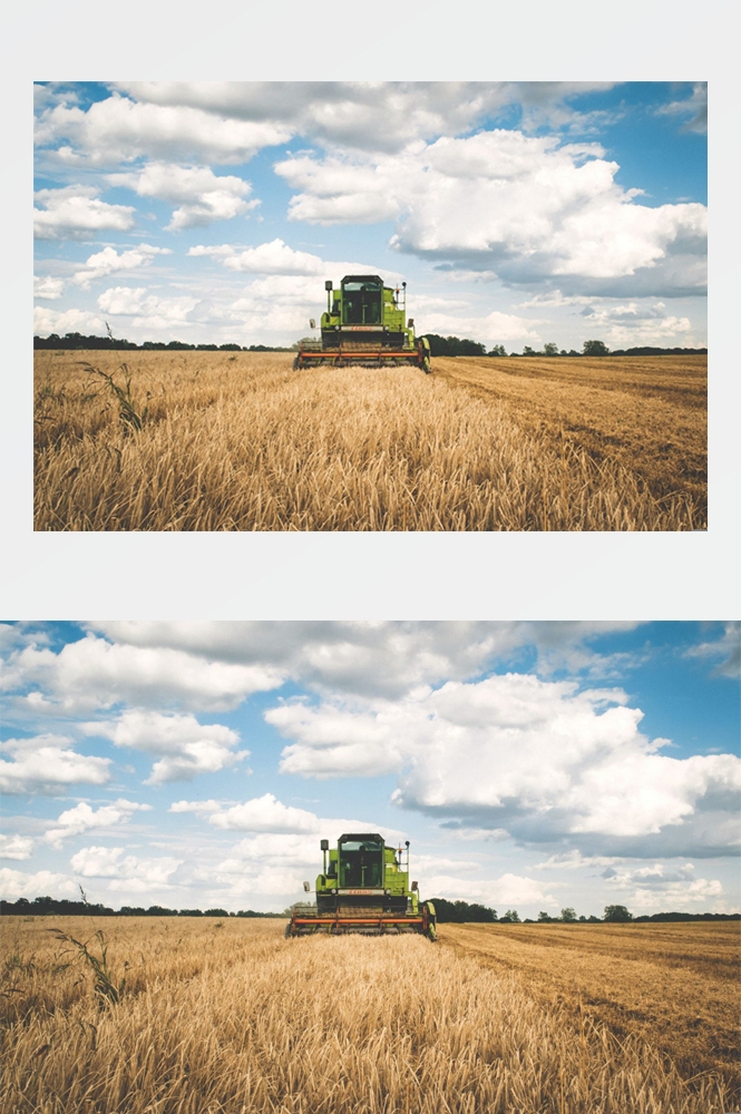 乡村田野风光高清图片 (270)