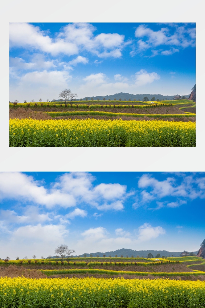 乡村田野风光高清图片