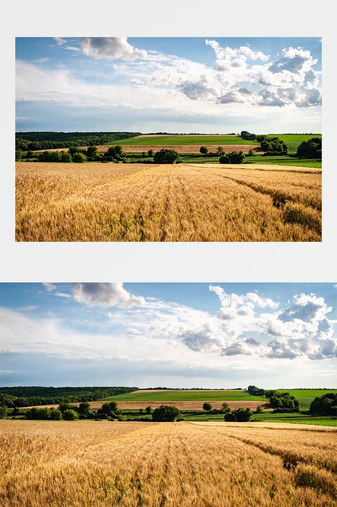 乡村田野风光高清图片 (251)