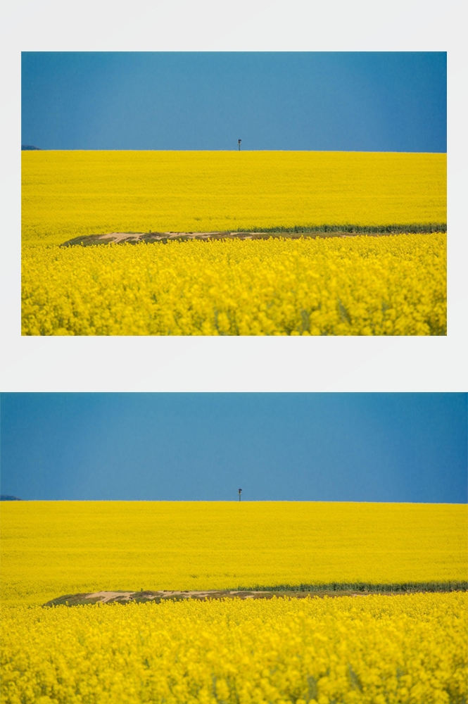 乡村田野风光高清图片 (303)