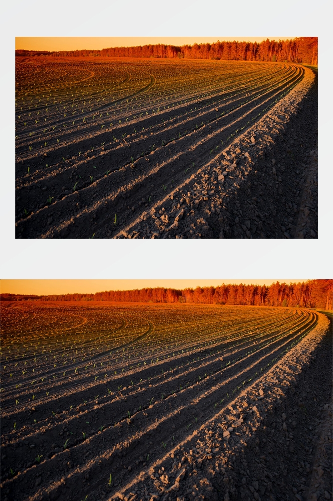 乡村田野风光高清图片 (36)