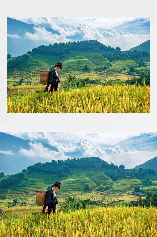 乡村田野风光高清图片 (268)