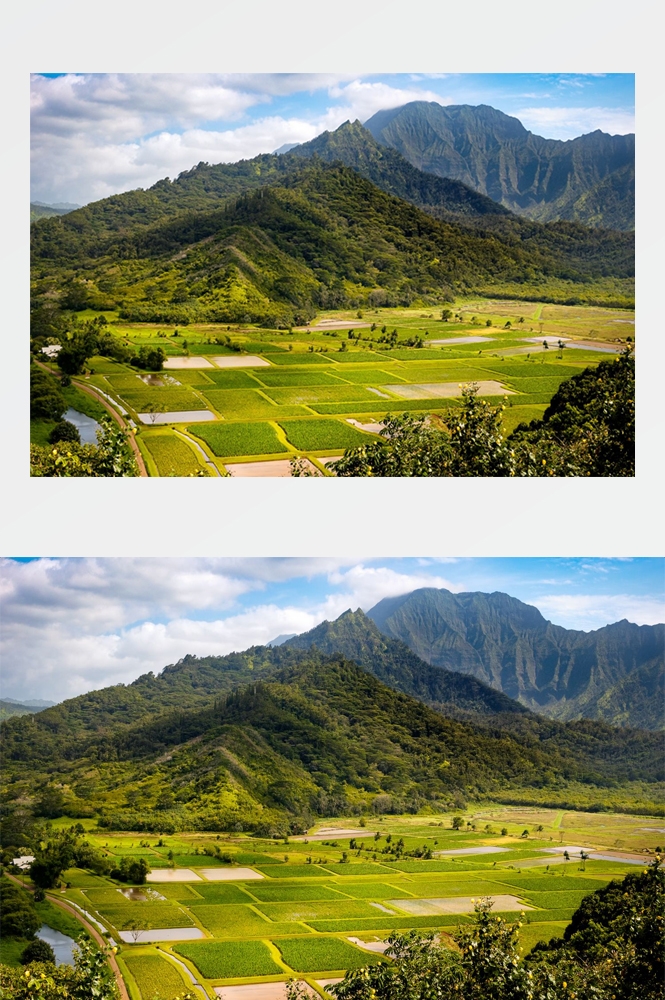 乡村田野风光高清图片