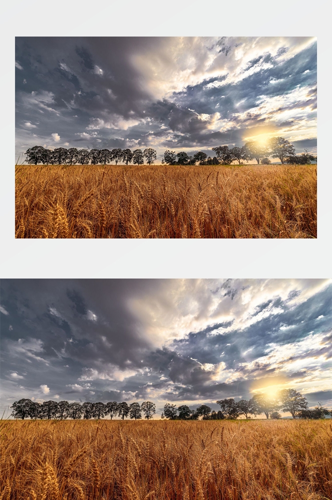 乡村田野风光高清图片 (302)