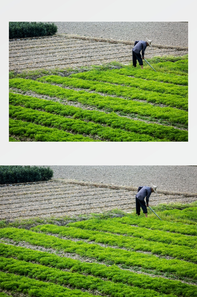乡村田野风光高清图片