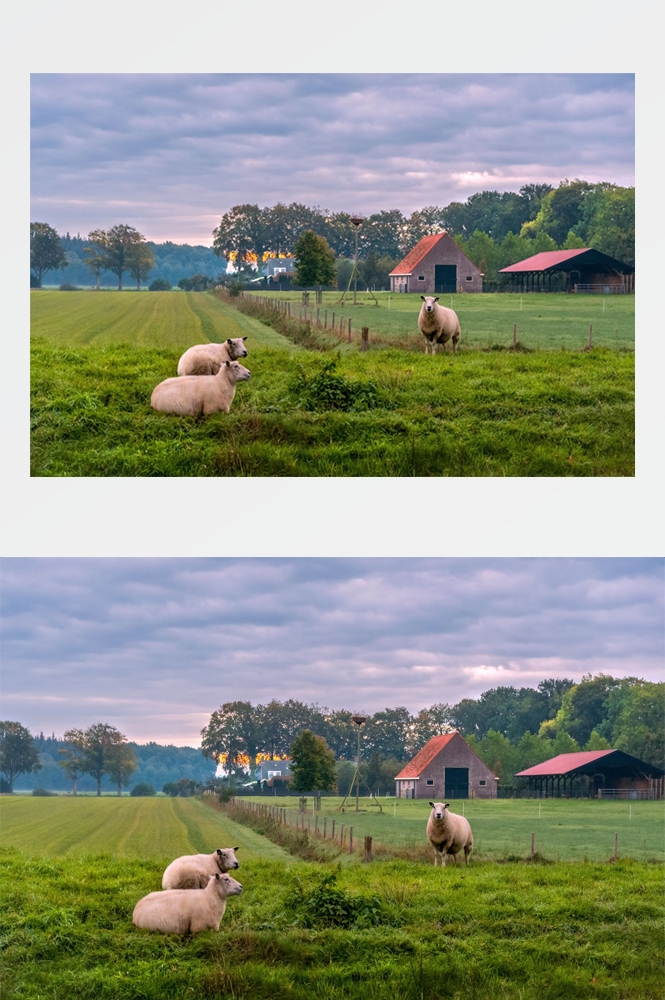 乡村田野风光高清图片 (279)