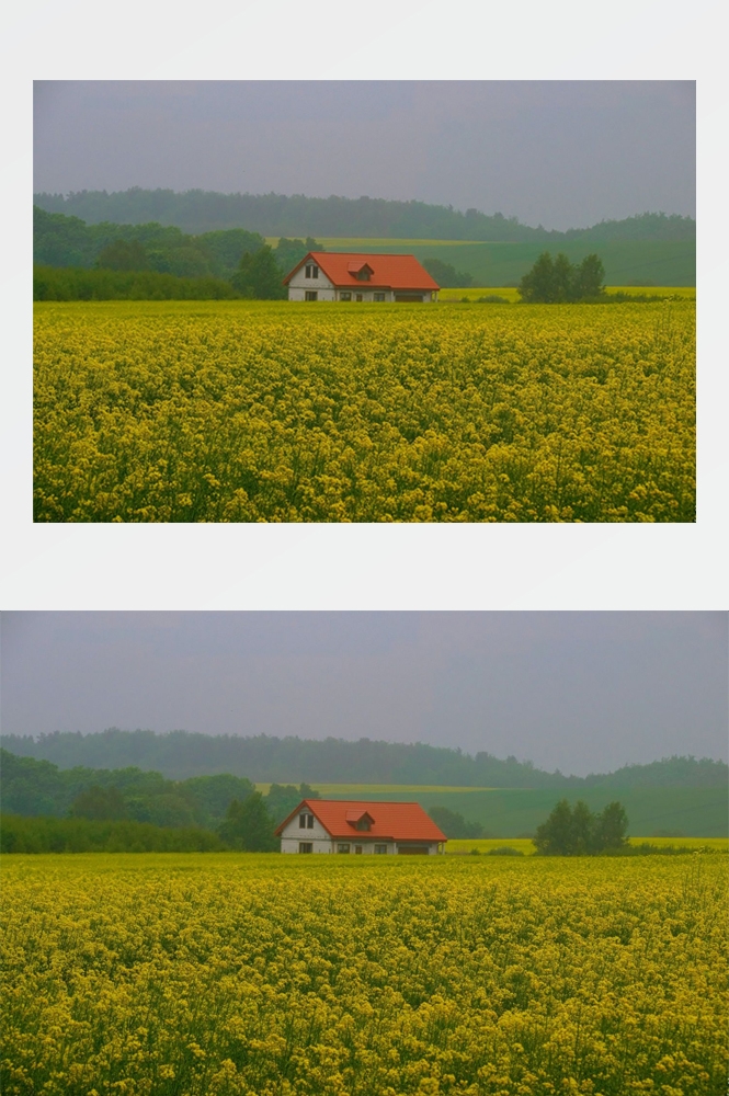 乡村田野风光高清图片 (305)