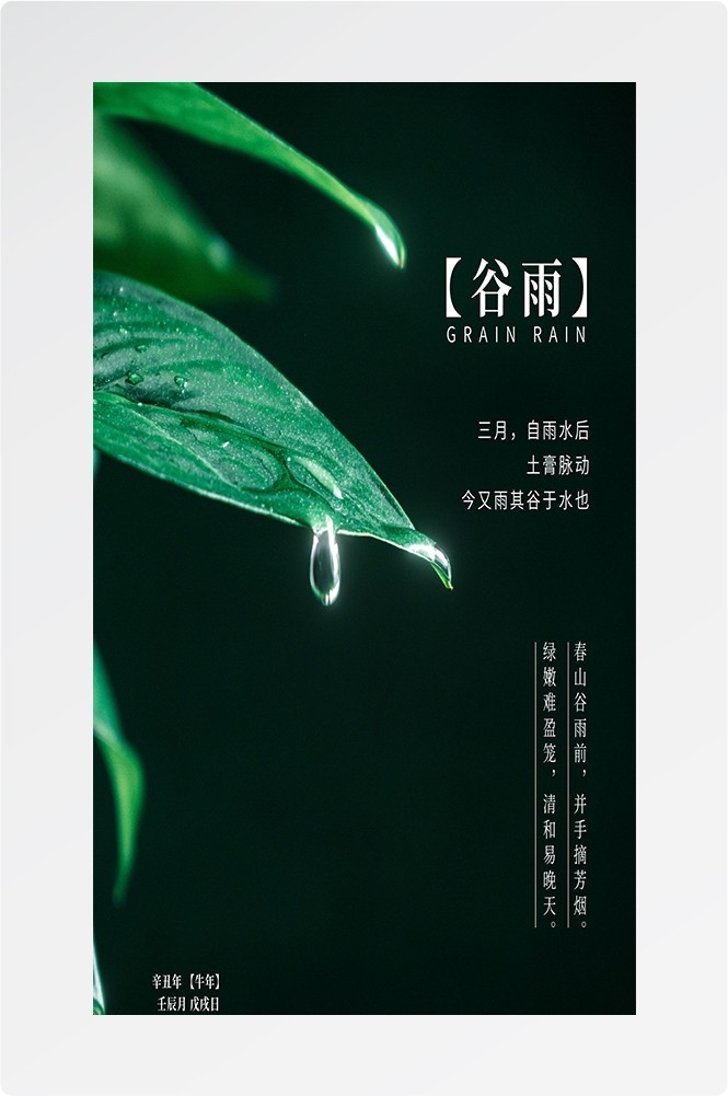 二十四节气四月春天春季谷雨中国风传统文化海报98