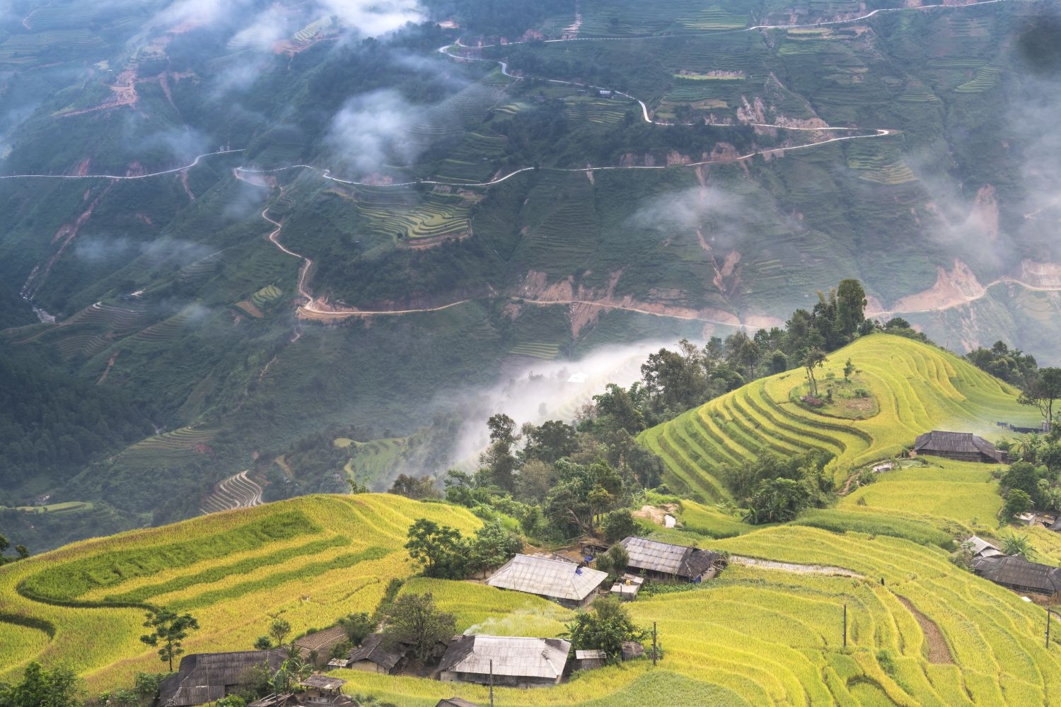 高清自然风景摄影图片稻田稻穗水稻田园风光设计素材 (111)