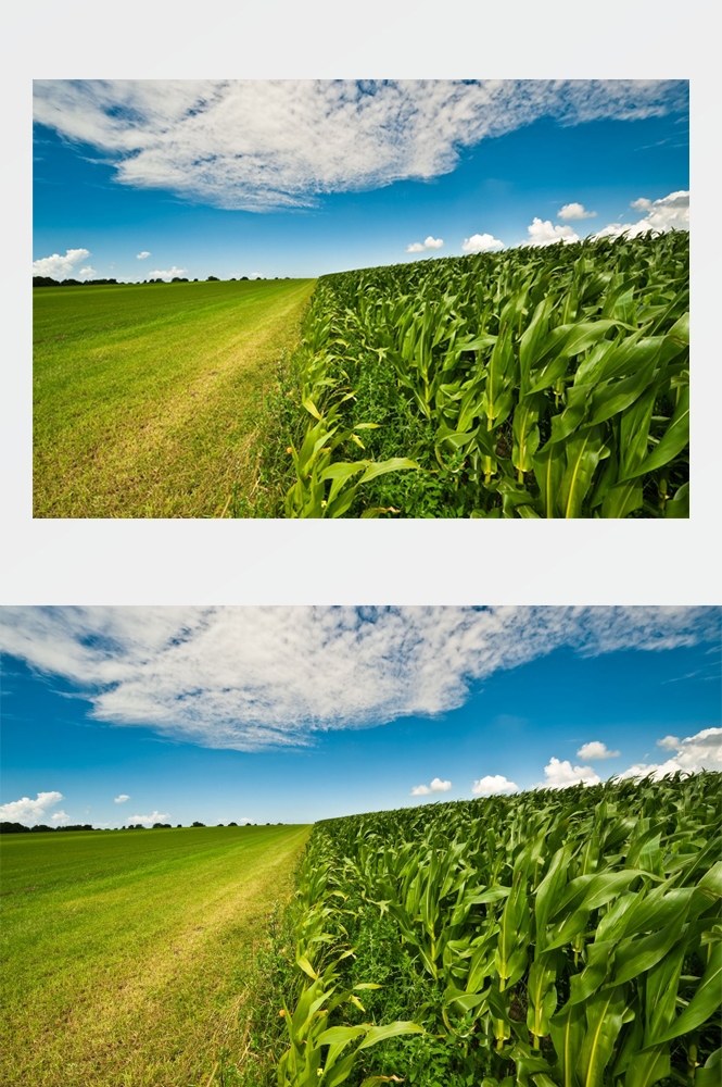 乡村田野风光高清图片 (30)