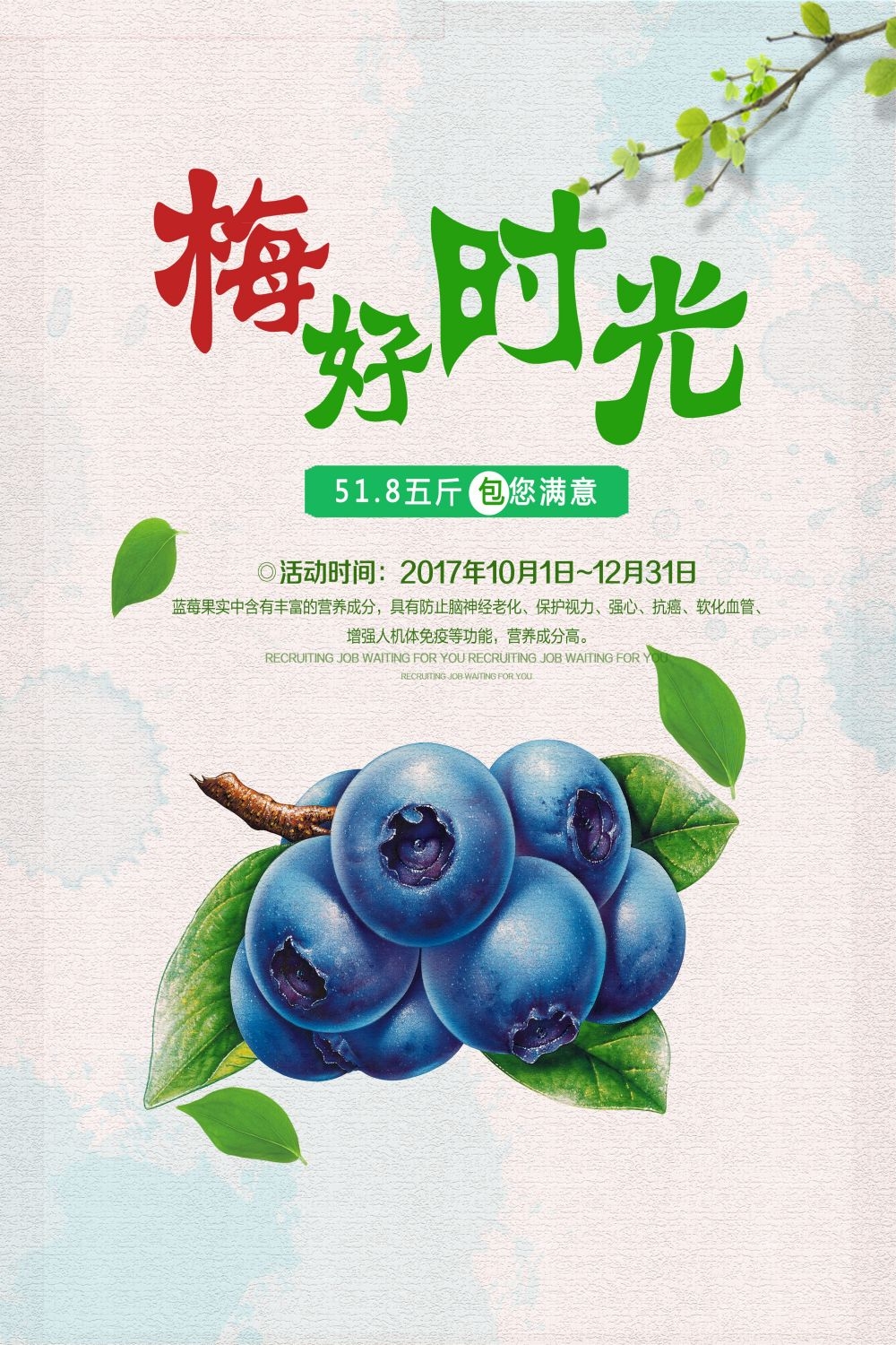 蓝莓促销宣传海报展板