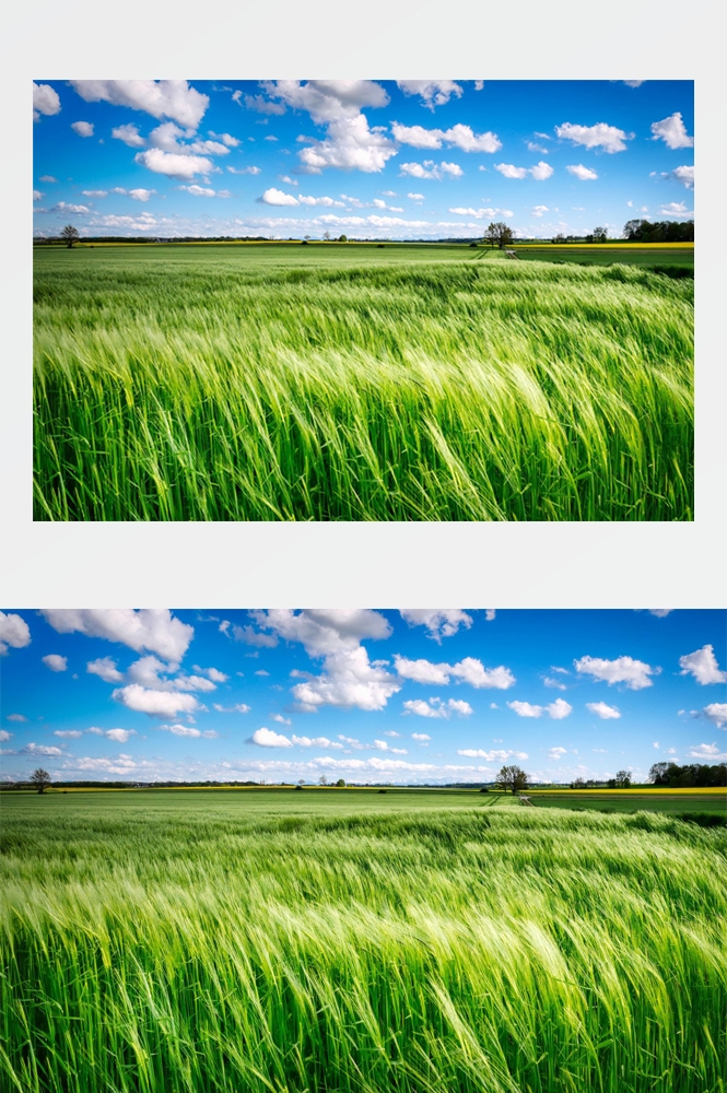 乡村田野风光高清图片 (263)