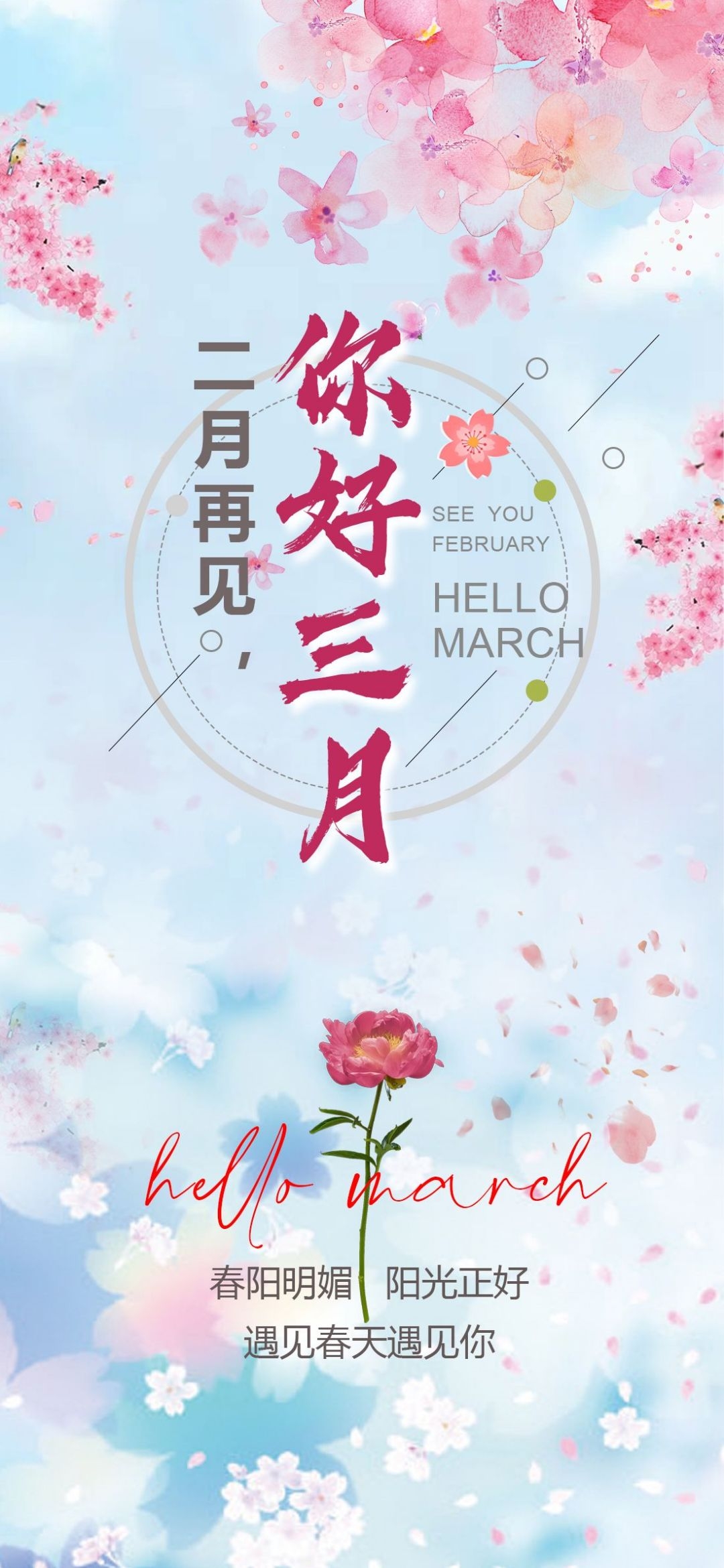 樱花节节日旅游浪漫出游露营春天活动宣传海报 (19)