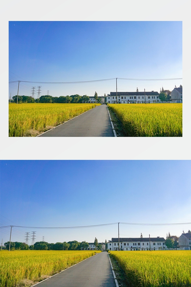乡村田野风光高清图片