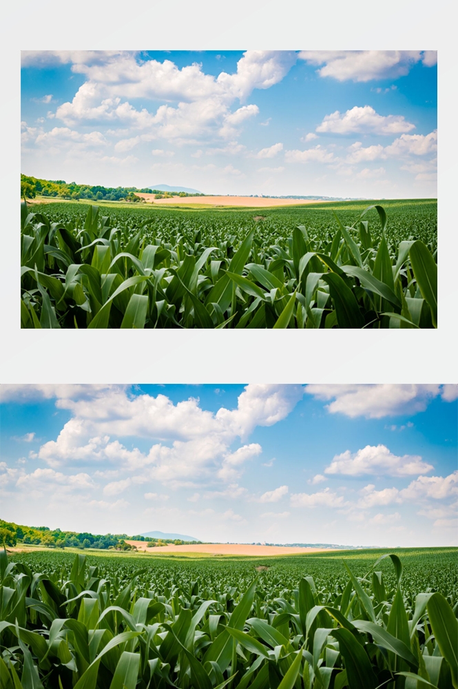 乡村田野风光高清图片 (257)