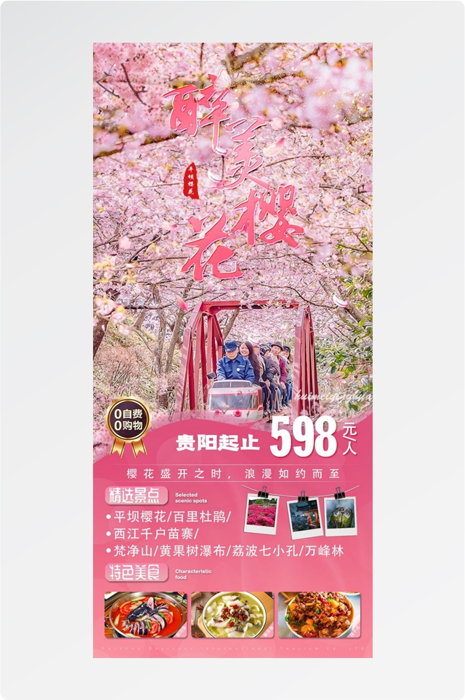 樱花节节日旅游浪漫出游露营春天活动宣传海报