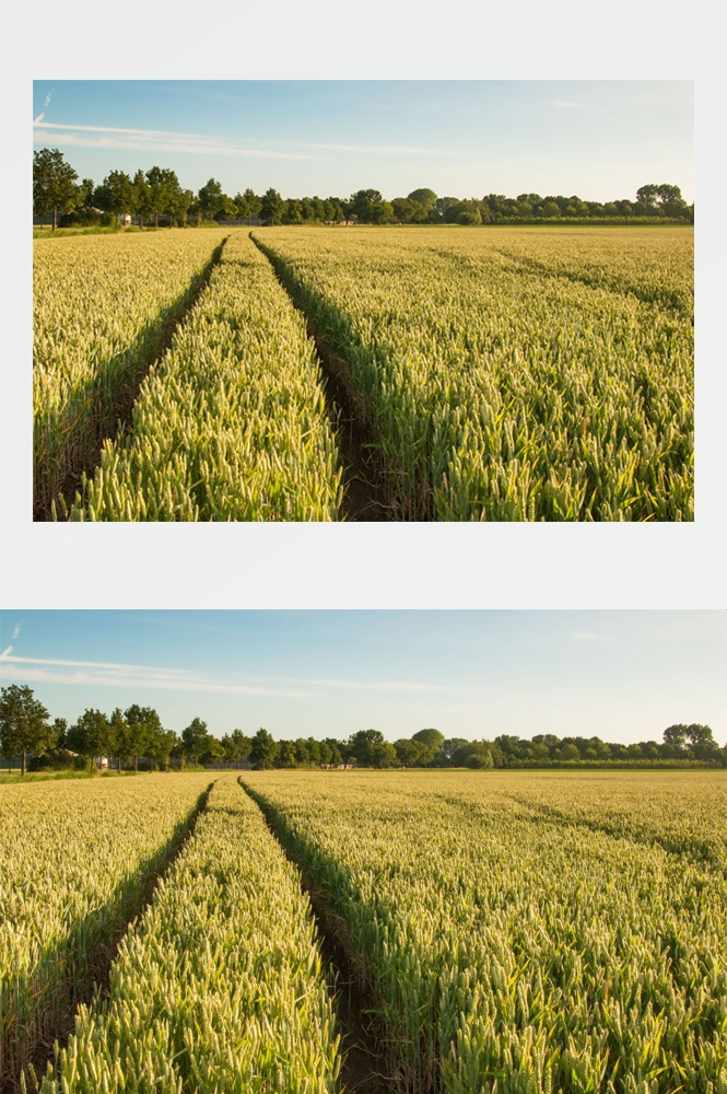 乡村田野风光高清图片 (29)