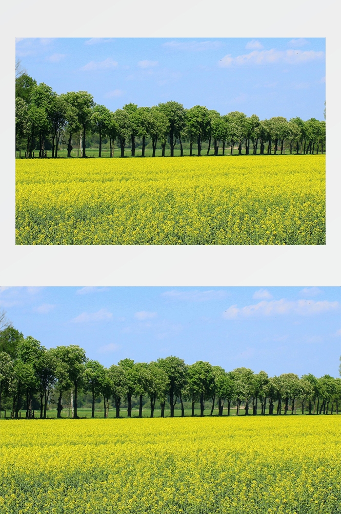 乡村田野风光高清图片 (292)