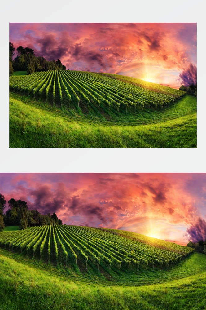 乡村田野风光高清图片 (39)