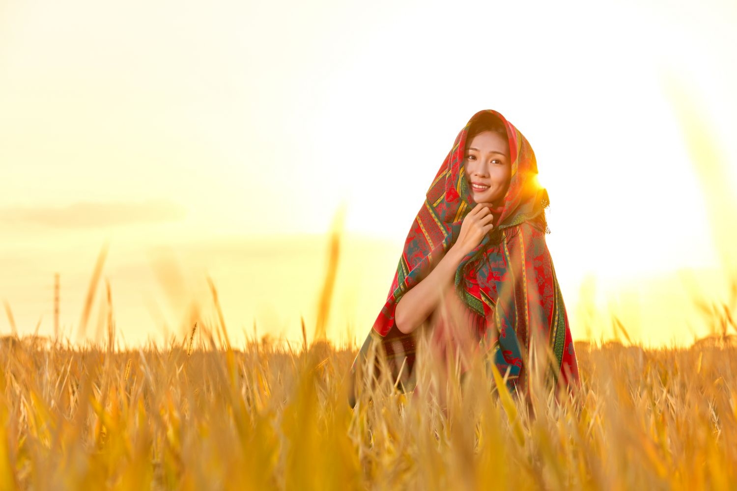 高清自然风景摄影图片稻田稻穗水稻田园风光设计素材 (66)