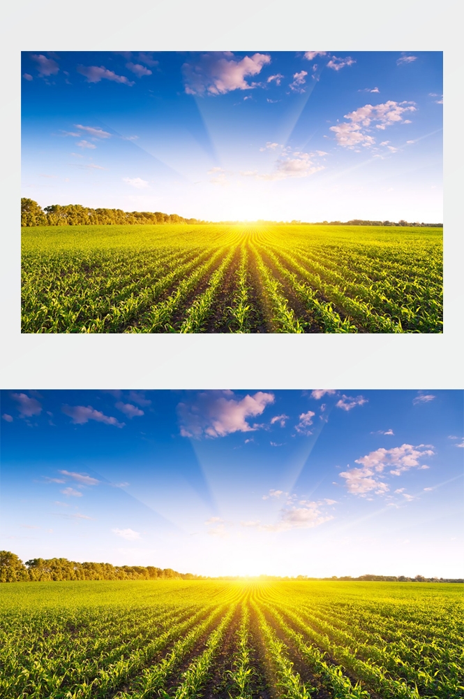 乡村田野风光高清图片 (21)