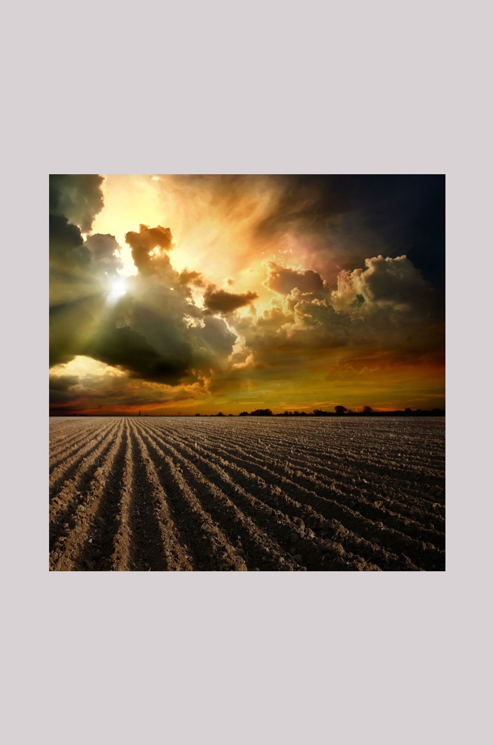 乡村田野风光高清图片 (78)