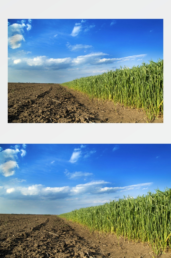 乡村田野风光高清图片 (20)