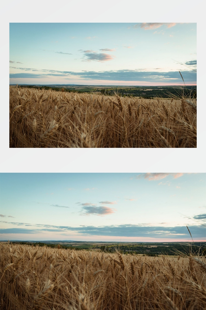 乡村田野风光高清图片 (269)