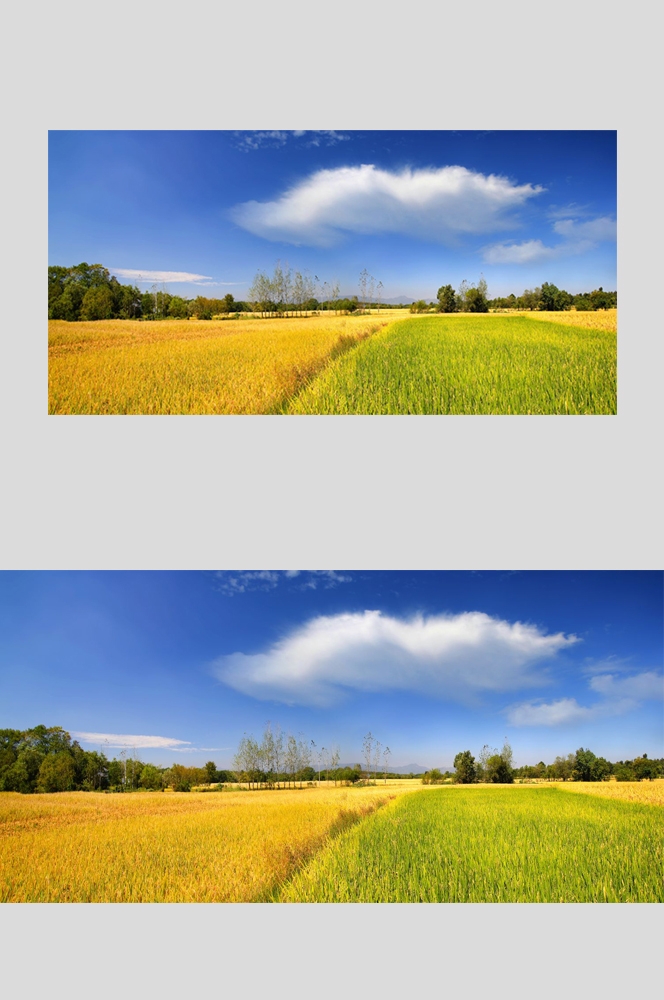 乡村田野风光高清图片 (86)