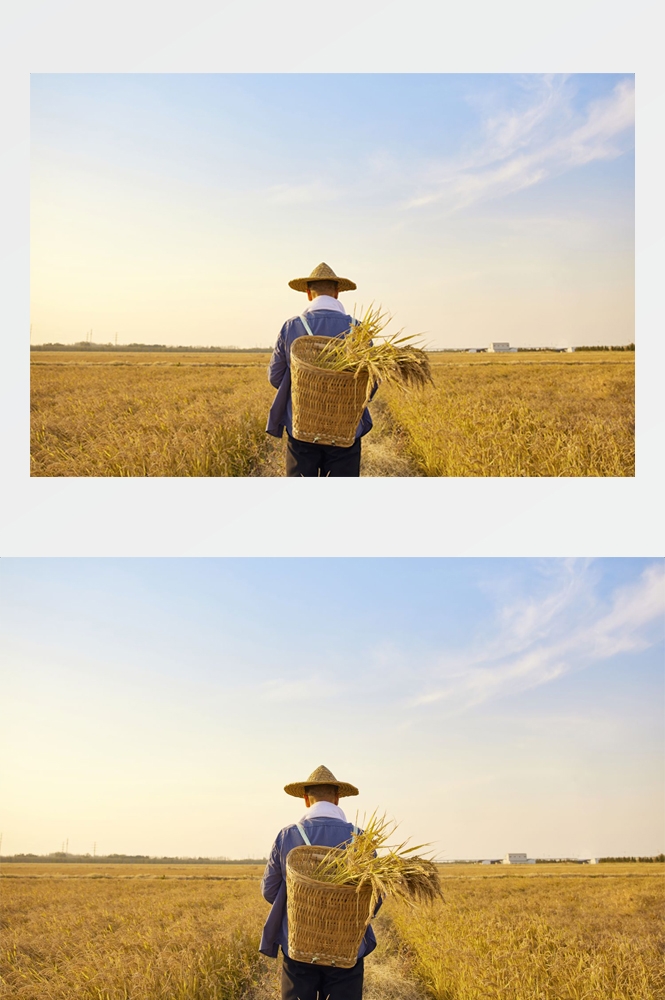 乡村田野风光高清图片 (41)