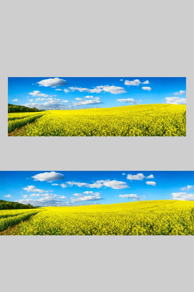 乡村田野风光高清图片 (59)