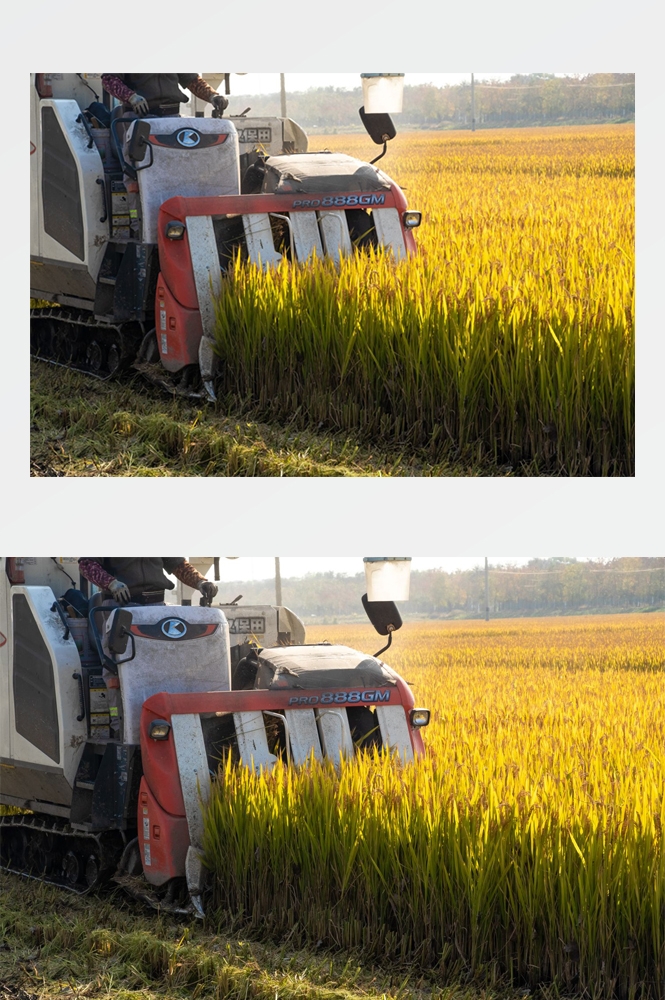 乡村田野风光高清图片 (79)